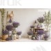 Tło fotograficzne „Lawendowy zakątek w stylu prowansalskim” | 4210 Tło fotograficzne „Lawendowy zakątek w stylu prowansalskim” | 4210